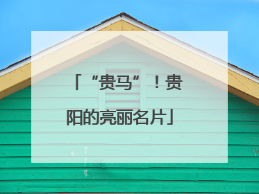 “贵马”！贵阳的亮丽名片