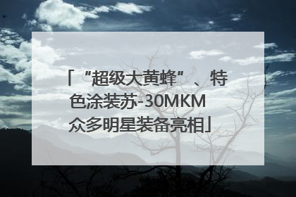 “超级大黄蜂”、特色涂装苏-30MKM 众多明星装备亮相