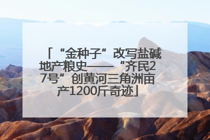 “金种子”改写盐碱地产粮史——“齐民27号”创黄河三角洲亩产1200斤奇迹