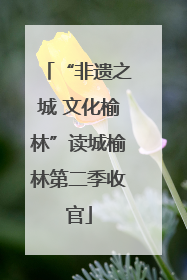 “非遗之城 文化榆林”读城榆林第二季收官