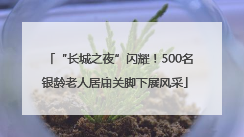 “长城之夜”闪耀！500名银龄老人居庸关脚下展风采