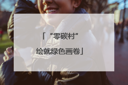“零碳村” 绘就绿色画卷