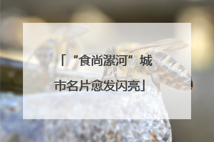 “食尚漯河”城市名片愈发闪亮