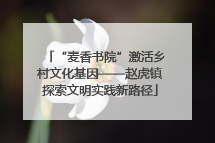 “麦香书院”激活乡村文化基因——赵虎镇探索文明实践新路径