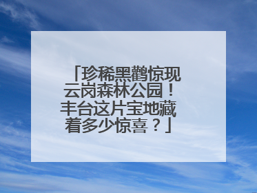 珍稀黑鹳惊现云岗森林公园！丰台这片宝地藏着多少惊喜？