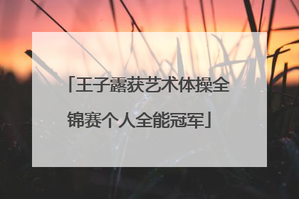 王子露获艺术体操全锦赛个人全能冠军