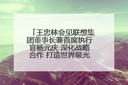 王忠林会见联想集团董事长兼首席执行官杨元庆 深化战略合作 打造世界级光电子信息产业集群