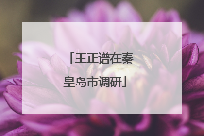 王正谱在秦皇岛市调研