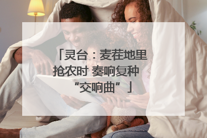 灵台：麦茬地里抢农时 奏响复种“交响曲”