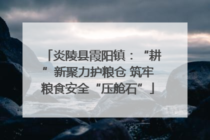 炎陵县霞阳镇：“耕”新聚力护粮仓 筑牢粮食安全“压舱石”