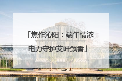 焦作沁阳：端午情浓 电力守护艾叶飘香