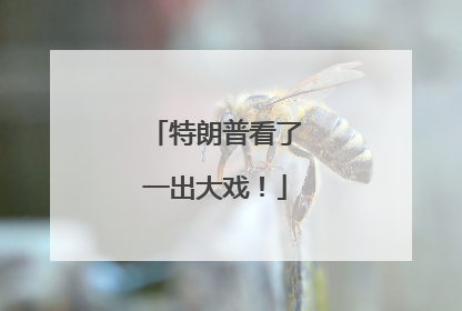 特朗普看了一出大戏！