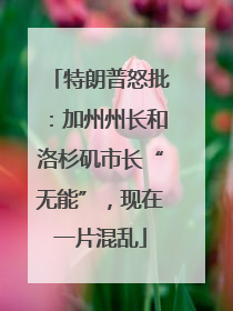 特朗普怒批：加州州长和洛杉矶市长“无能”，现在一片混乱