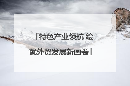特色产业领航 绘就外贸发展新画卷