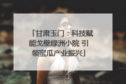 甘肃玉门：科技赋能戈壁绿洲小院 引领蜜瓜产业振兴