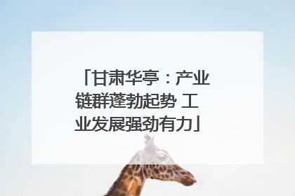 甘肃华亭：产业链群蓬勃起势 工业发展强劲有力