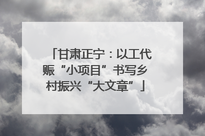 甘肃正宁：以工代赈“小项目”书写乡村振兴“大文章”