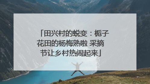 田兴村的蜕变：栀子花田的杨梅熟啦 采摘节让乡村热闹起来