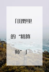 田野里的“精算师”