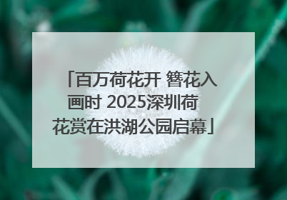 百万荷花开 簪花入画时 2025深圳荷花赏在洪湖公园启幕
