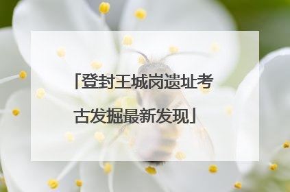 登封王城岗遗址考古发掘最新发现