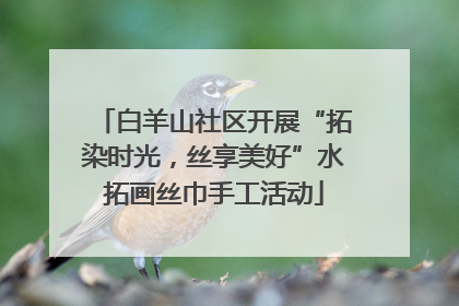 白羊山社区开展“拓染时光，丝享美好”水拓画丝巾手工活动
