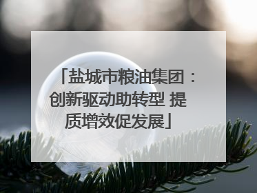 盐城市粮油集团：创新驱动助转型 提质增效促发展