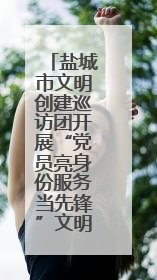 盐城市文明创建巡访团开展“党员亮身份服务当先锋”文明实践活动