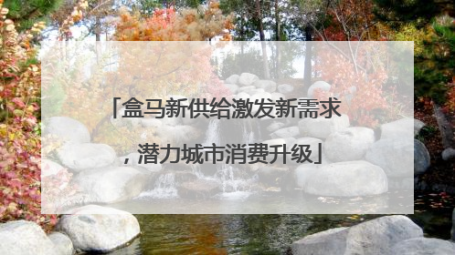 盒马新供给激发新需求，潜力城市消费升级