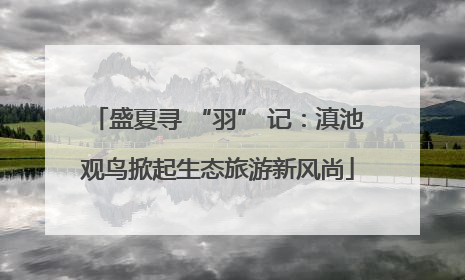 盛夏寻 “羽” 记：滇池观鸟掀起生态旅游新风尚