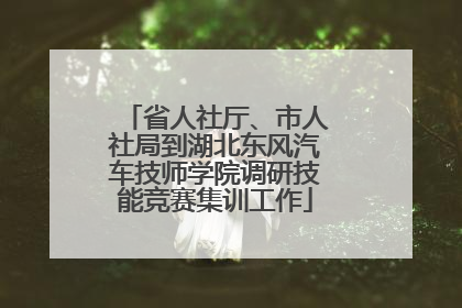 省人社厅、市人社局到湖北东风汽车技师学院调研技能竞赛集训工作