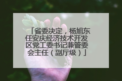 省委决定，杨旭东任安庆经济技术开发区党工委书记兼管委会主任（副厅级）