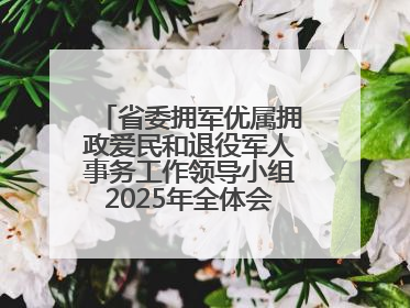 省委拥军优属拥政爱民和退役军人事务工作领导小组2025年全体会议召开