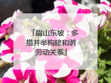 眉山东坡：多措并举构建和谐劳动关系
