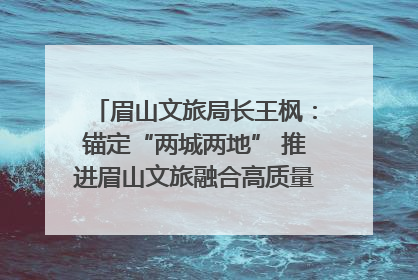 眉山文旅局长王枫：锚定“两城两地” 推进眉山文旅融合高质量发展｜文旅局长说