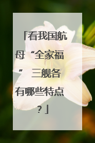 看我国航母“全家福” 三舰各有哪些特点？