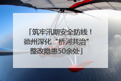 筑牢汛期安全防线！德州深化“桥河共治”整改隐患50余处