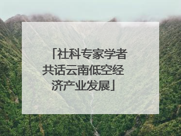 社科专家学者共话云南低空经济产业发展