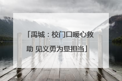禹城：校门口暖心救助 见义勇为显担当