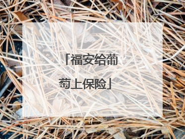 福安给葡萄上保险