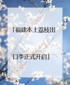 福建本土荔枝出口季正式开启