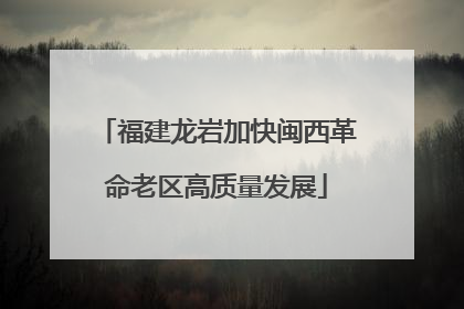 福建龙岩加快闽西革命老区高质量发展