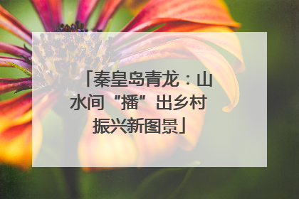 秦皇岛青龙：山水间“播”出乡村振兴新图景