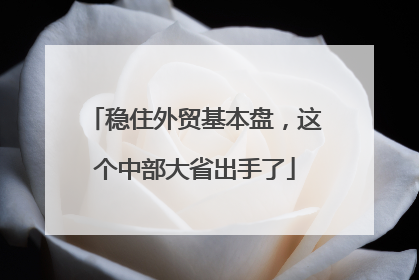 稳住外贸基本盘，这个中部大省出手了