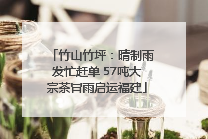 竹山竹坪：晴制雨发忙赶单 57吨大宗茶冒雨启运福建