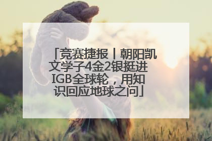 竞赛捷报丨朝阳凯文学子4金2银挺进IGB全球轮，用知识回应地球之问