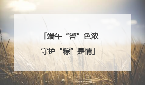 端午“警”色浓 守护“粽”是情