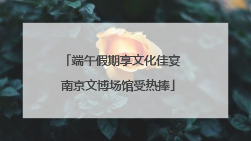 端午假期享文化佳宴 南京文博场馆受热捧