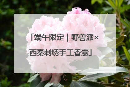 端午限定｜野兽派×西秦刺绣手工香囊