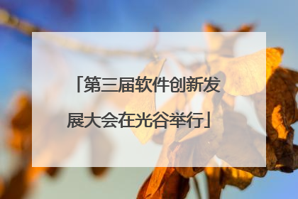 第三届软件创新发展大会在光谷举行
